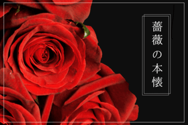 薔薇の本懐 background image