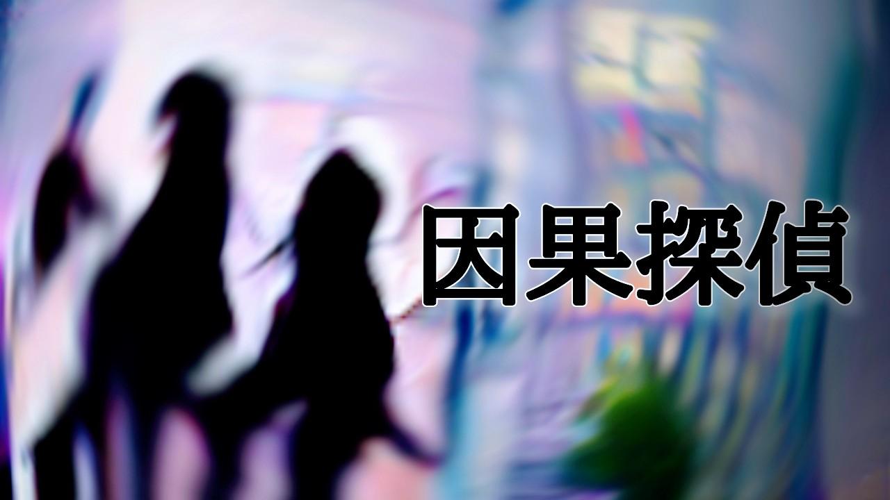 因果探偵