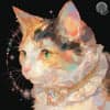 ねこみ avatar icon