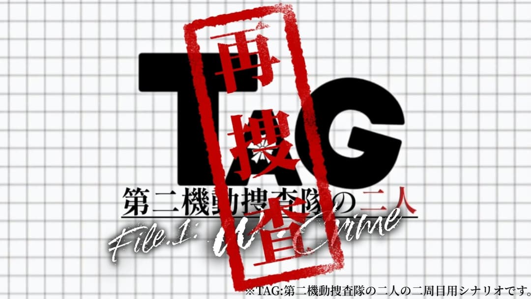 TAG:第二機動捜査隊の二人〈再捜査〉 background image