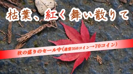 枯葉、紅く舞い散りて